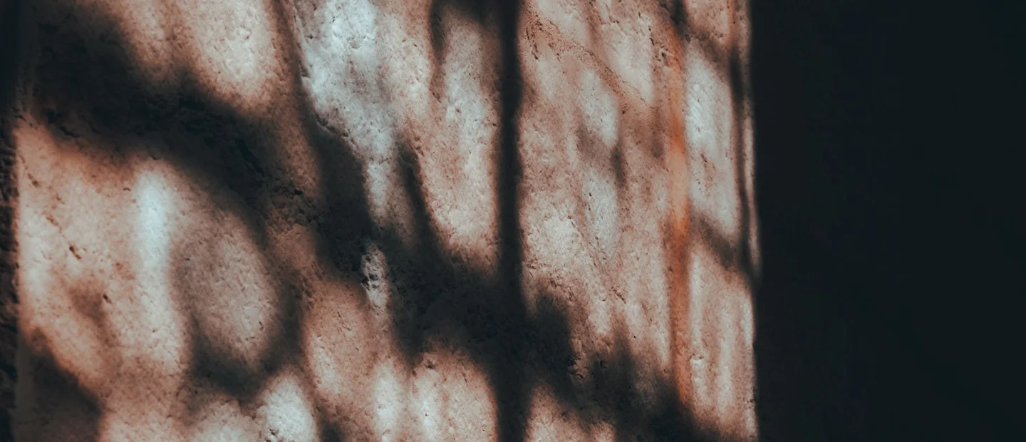 Jeu d’ombres naturelles sur un mur de pierre
